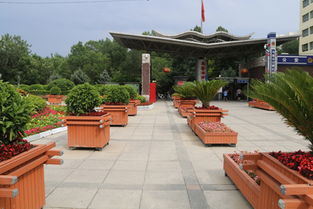 新疆立體花壇施工單位,就找綠秀園藝