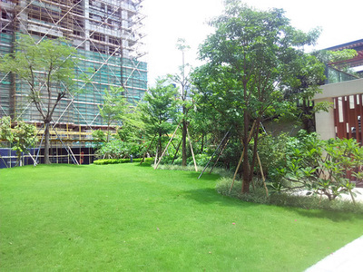 石龍景觀工程公司服務(wù)公司評(píng)價(jià)_佛嶺景觀