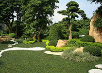 麻煩在座的老司機(jī) 誰幫忙回答!昌平快捷的小區(qū)綠化工程選哪家?