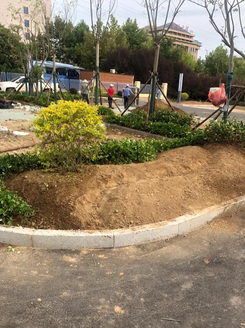 園林綠化工程 #小區(qū)綠化 #花園施工 #庭院景觀設(shè)計 #景