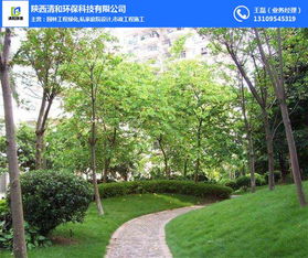 園林工程 清和園林專業(yè)團隊 防風(fēng)沙園林工程