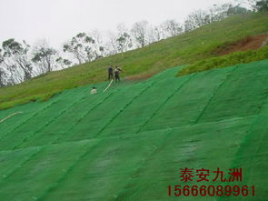 云南三維植被網(wǎng),邊坡植草綠化價(jià)格 廠(chǎng)家 圖片