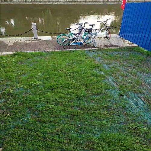 天津椰絲毯生產(chǎn)廠(chǎng)家 價(jià)格實(shí)惠屬我家